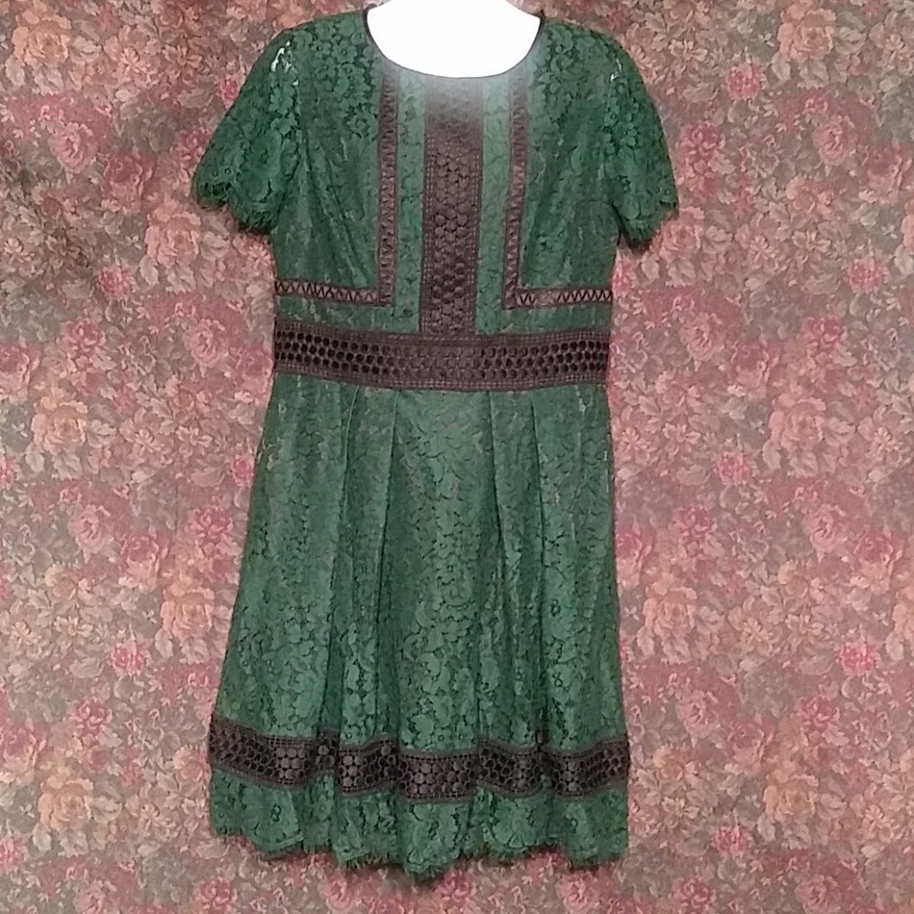 Eliza J lace dress cape sleeve